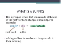 Suffixes - Grade 7 - Quizizz