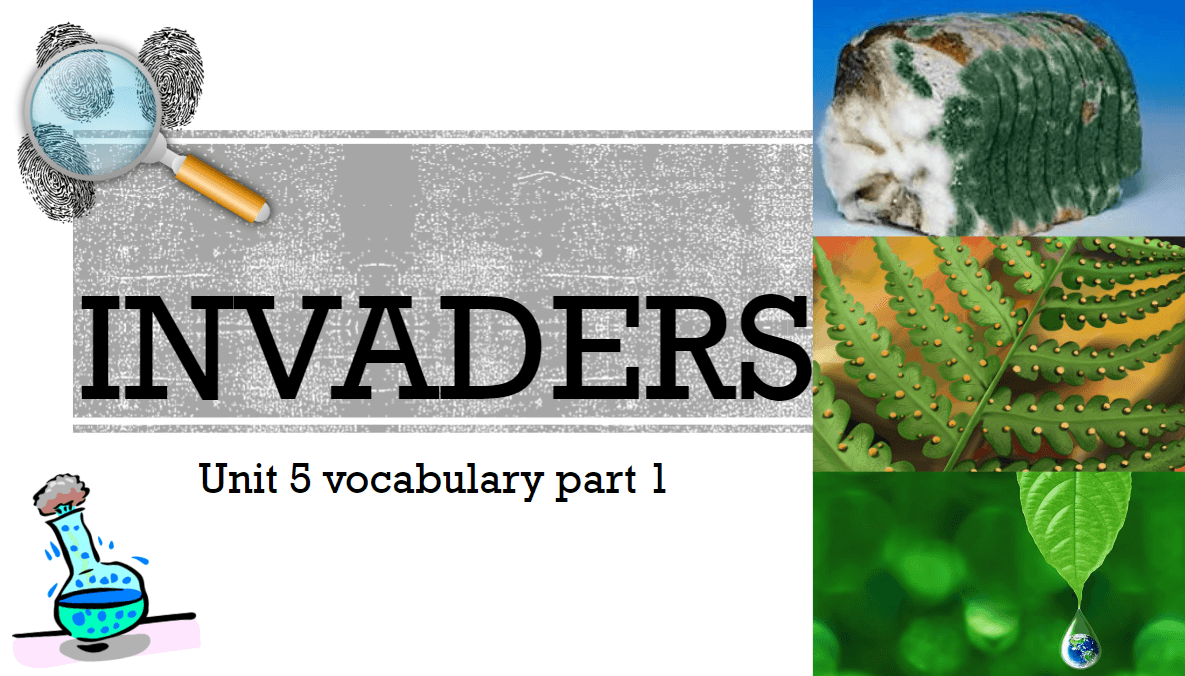 Vocabulary Unit 5 Part 1 - Sentences Questions & Answers For Quizzes ...