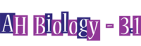 human biology - Year 4 - Quizizz