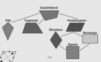 Classifying Quadrilaterals Flashcards - Quizizz