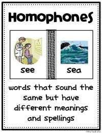 Homophones and Homographs - Class 9 - Quizizz