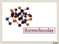 macromolecules - Grade 11 - Quizizz