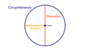 Circumference of a Circle