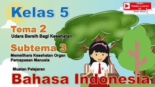 Siapa Apa Kapan Dimana Mengapa Pertanyaan - Kelas 5 - Kuis