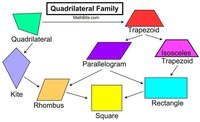 properties of squares and rectangles - Class 12 - Quizizz