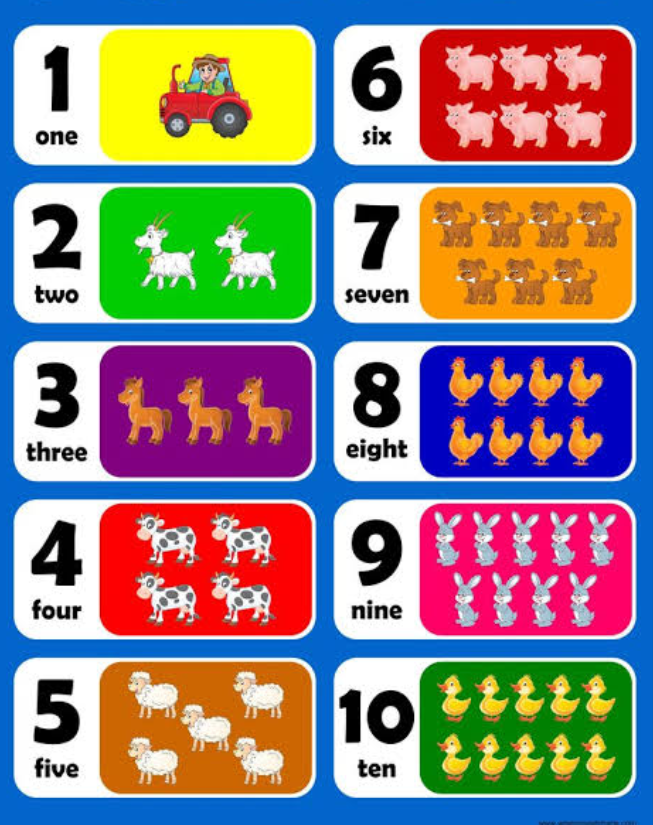 Number Sense Flashcards - Quizizz