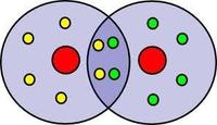 estructura de una celula - Grado 11 - Quizizz