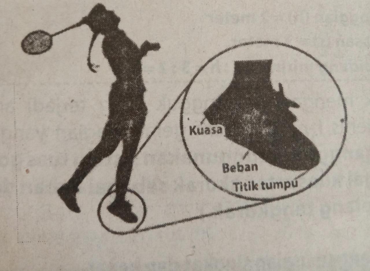 Kalimat Sederhana, Majemuk, dan Kompleks - Kelas 2 - Kuis