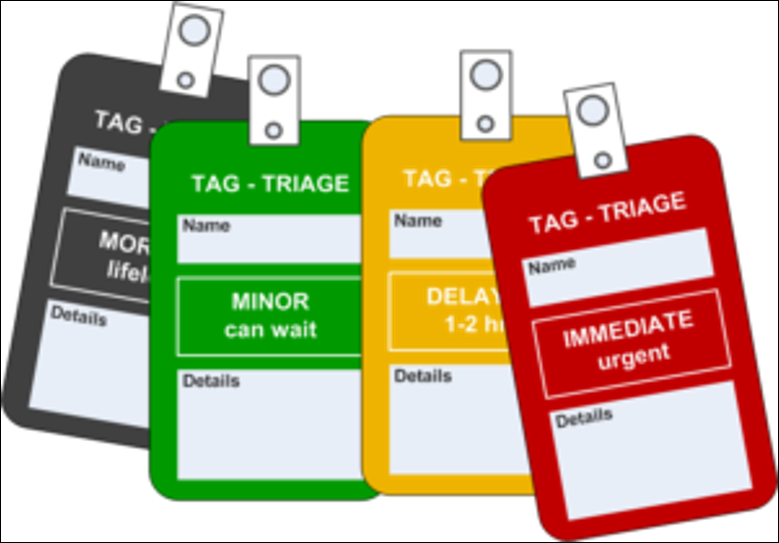 Basics of Triage | Quizizz