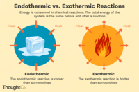 endothermic and exothermic processes - Grade 12 - Quizizz