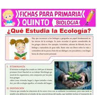 ecología - Grado 5 - Quizizz
