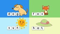 Letters and Words Flashcards - Quizizz