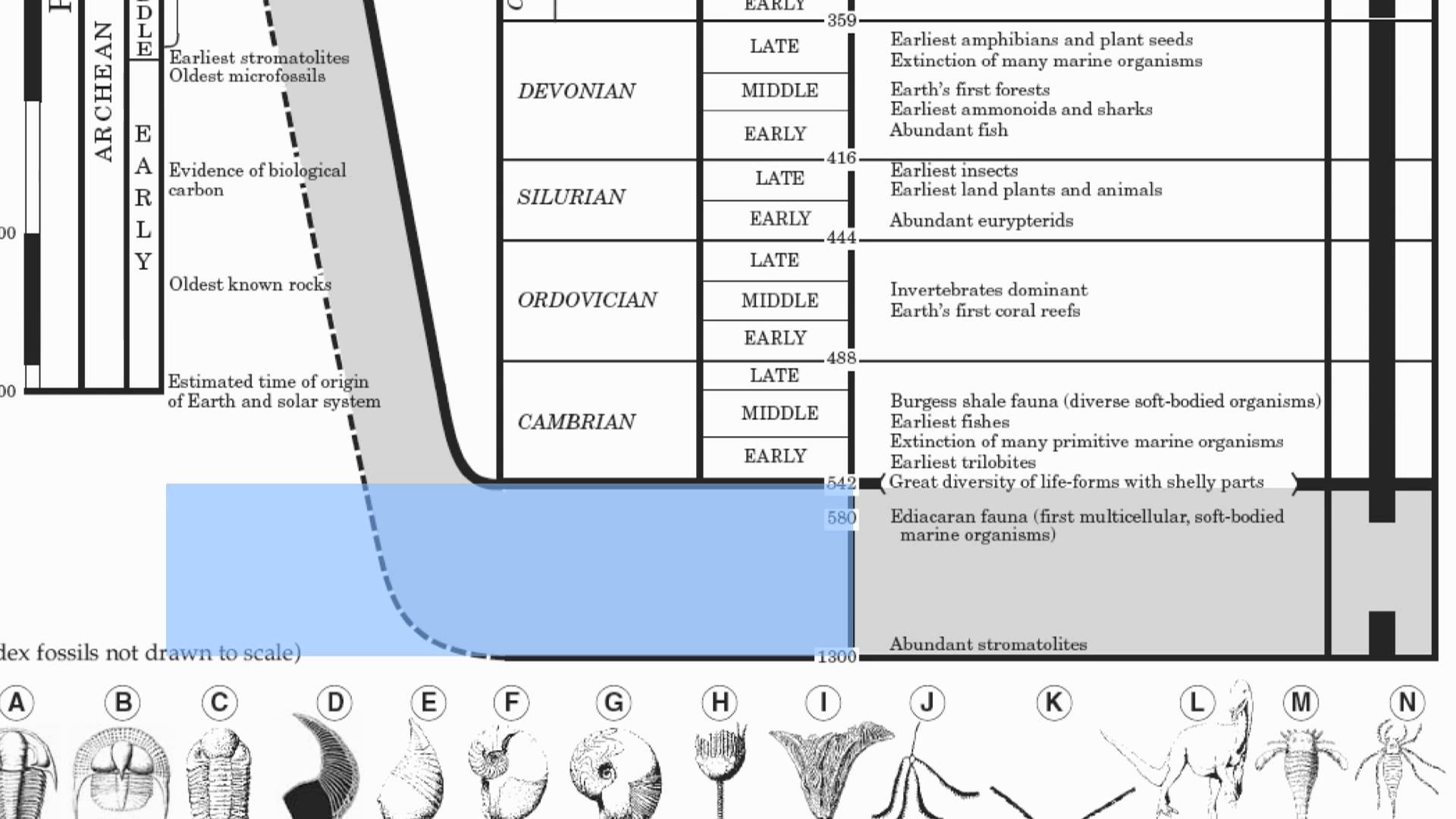 Geologic History | Earth Sciences - Quizizz