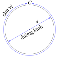diện tích và chu vi hình tròn Flashcards - Quizizz