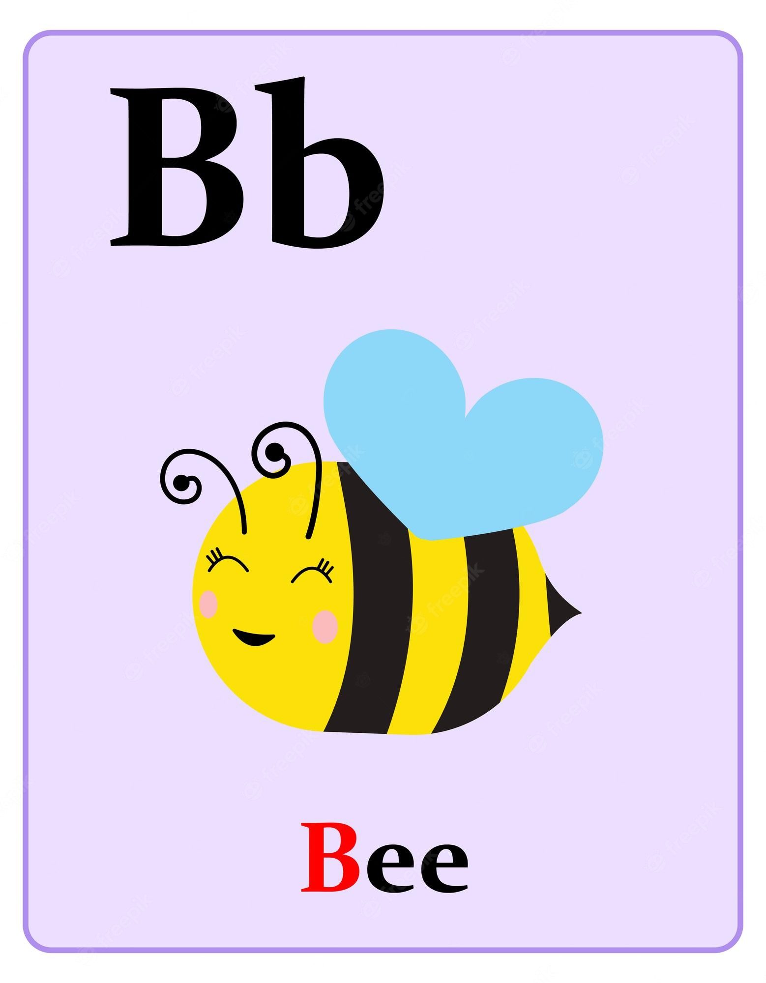 The Letter B Flashcards For Class 7 - Quizizz