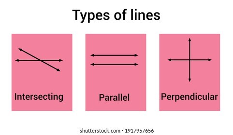 Perpendicular And Parallel Lines | Quizizz