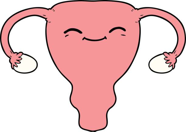 Female Reproductive system | 5K plays | Quizizz