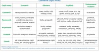 Spójniki - Klasa 4 - Quiz