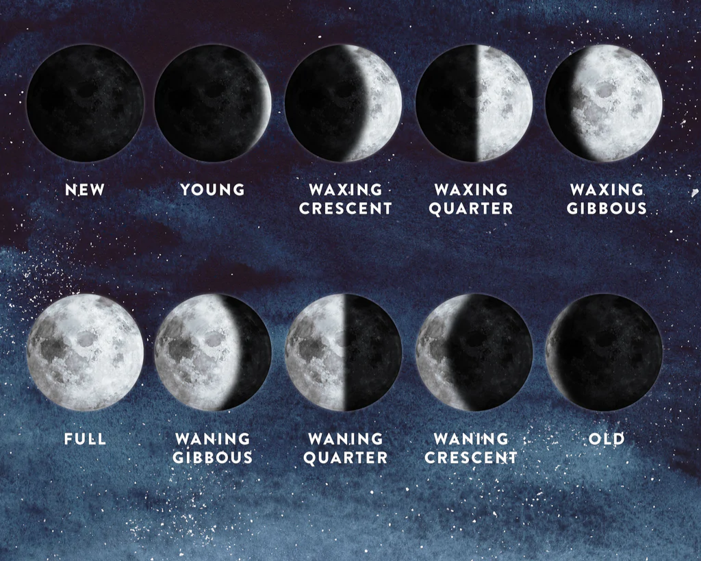 Moon phases questions & answers for quizzes and worksheets - Quizizz