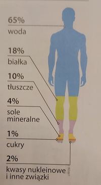 równowaga chemiczna - Klasa 5 - Quiz