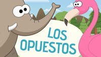 Identificar los opuestos - Grado 1 - Quizizz