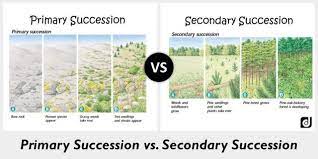 Biodiversity & Succession