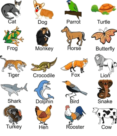 POSSESSIVE ADJECTIVES / ANIMALS | World Languages - Quizizz
