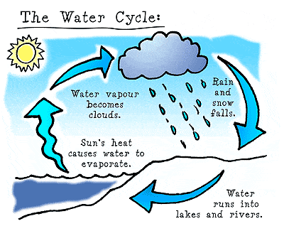 Water Cycle 1 questions & answers for quizzes and worksheets - Quizizz