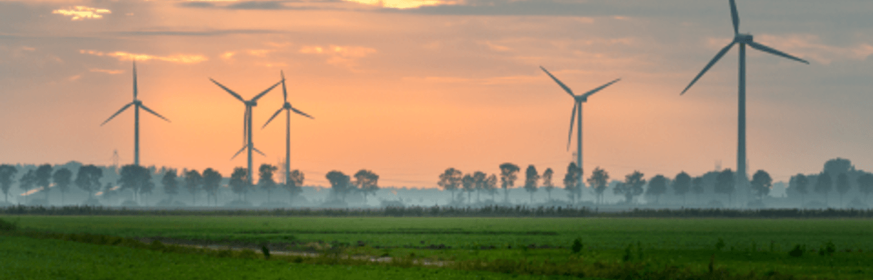 wind-power-quizizz