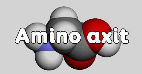 Axit amin - Lớp 12 - Quizizz