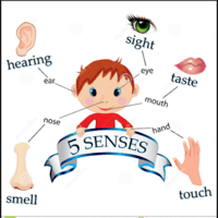 Sensory Words - Class 5 - Quizizz