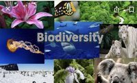 biodiversity and conservation - Year 4 - Quizizz