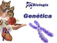 genética - Série 10 - Questionário