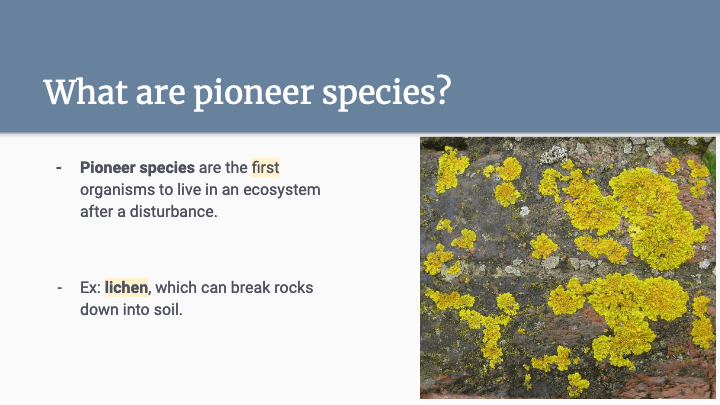 Succession Lesson | Biology - Quizizz