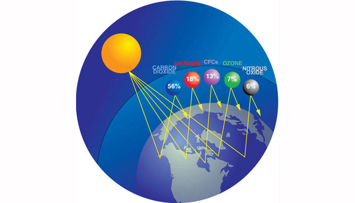 Greenhouse Gases Earth Sciences Quiz Quizizz