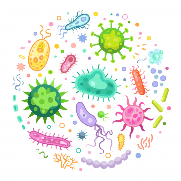Pathogens Pop Quiz