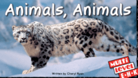 Animals - Grade 1 - Quizizz