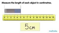 Comparing Length - Class 3 - Quizizz