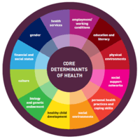 11 PDHPE - Determinants of health