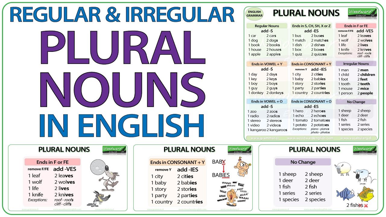 Plural Nouns - Year 9 - Quizizz