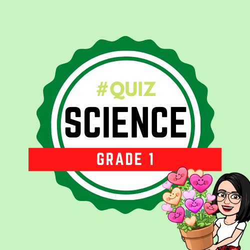 Grade 1 Animal Part #1 | Science - Quizizz