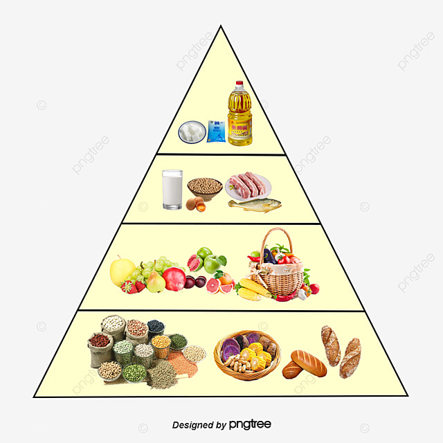 Makanan - Kelas 4 - Kuis