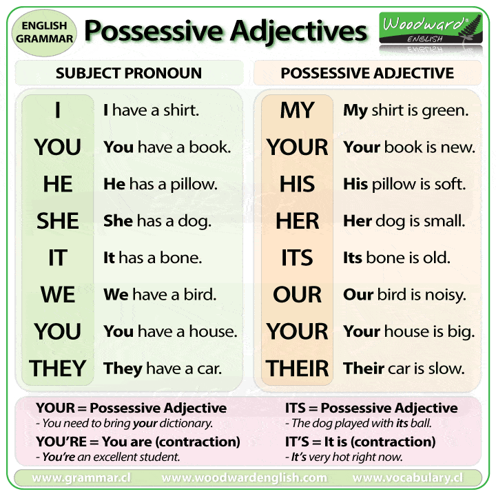 List Of Possessive Adjectives