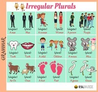 Irregular Plural Forms - Class 3 - Quizizz