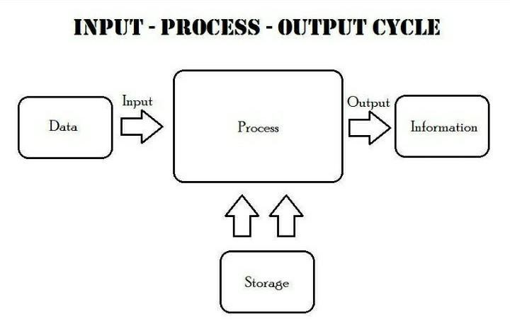 Academy Information Processing Cycle Or Stages Quizizz