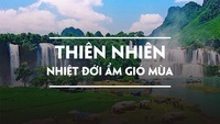 Hoạt động thiên nhiên Flashcards - Quizizz