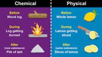 chemical equilibrium - Grade 4 - Quizizz