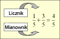 Zajęcia przyrodnicze - Klasa 4 - Quiz