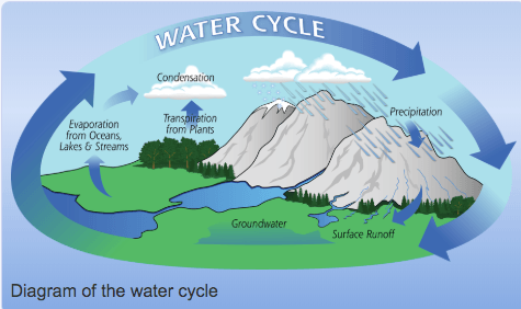 4th Grade Water Cycle | Quizizz