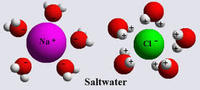 Polyatomic Ions - Year 4 - Quizizz